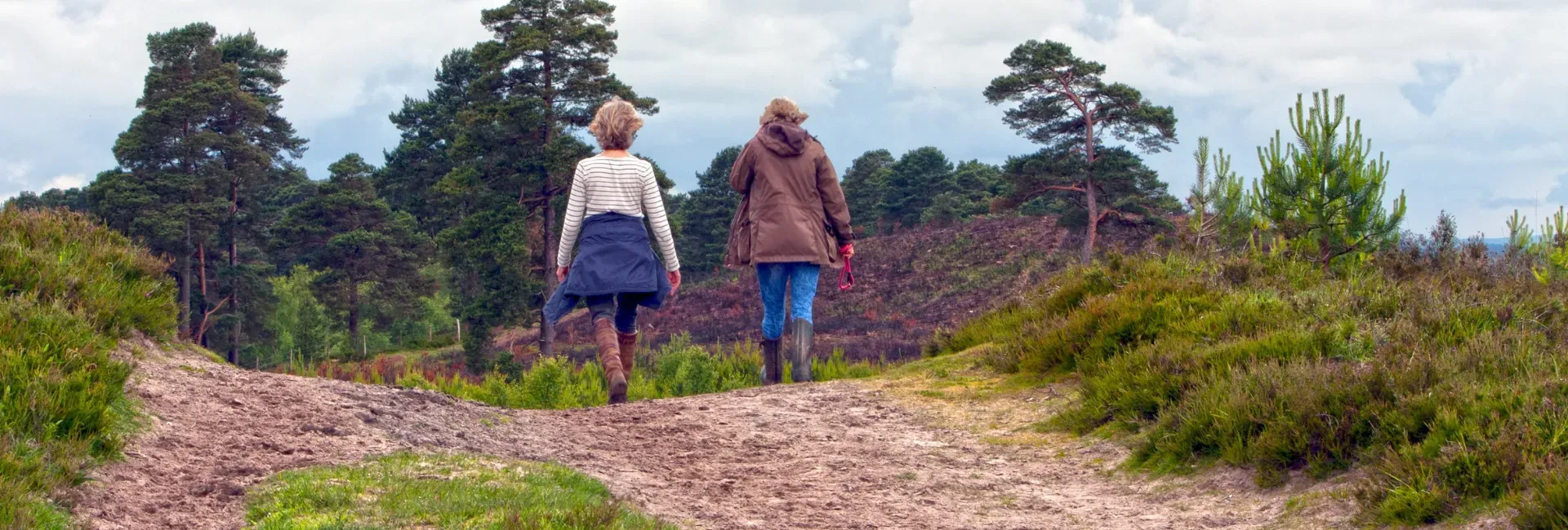 Wandelen door de natuur van het Hulsbeek in Twente met heide