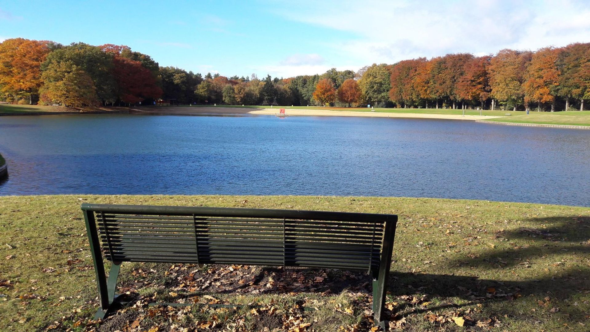 Herfst_hulsbeek1.jpg