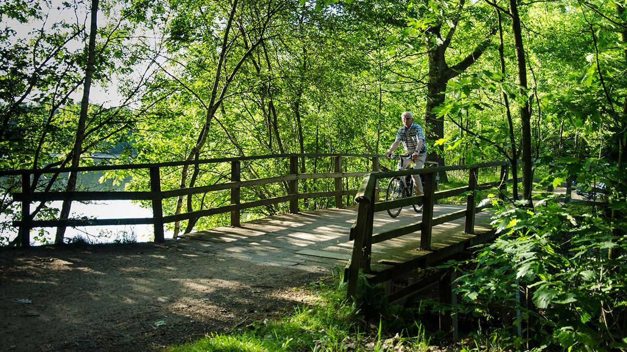 Fietsen op recreatiegebied het hulsbeek