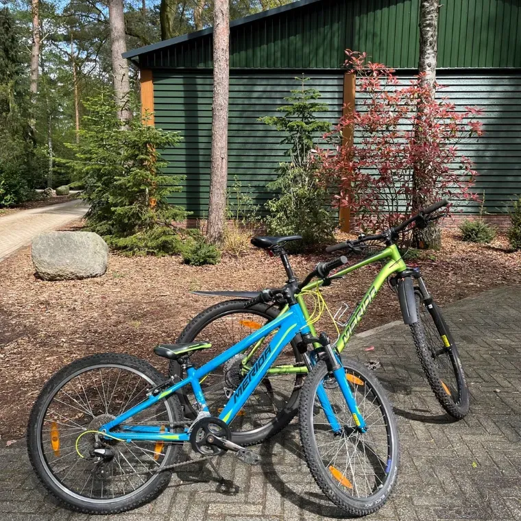 Groot_rondje_mountainbikes.webp