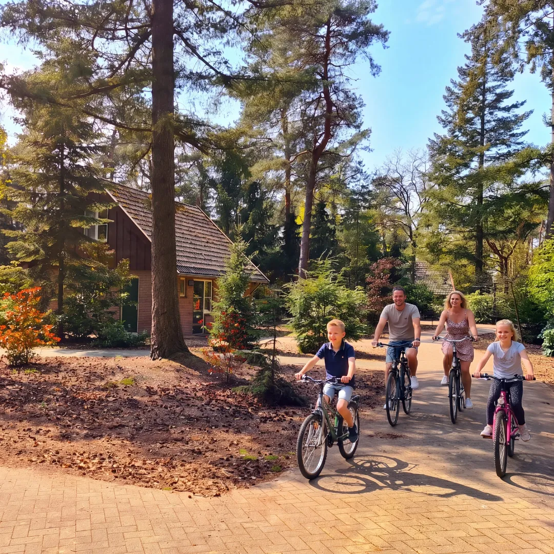 fietsen-eureka-3.webp