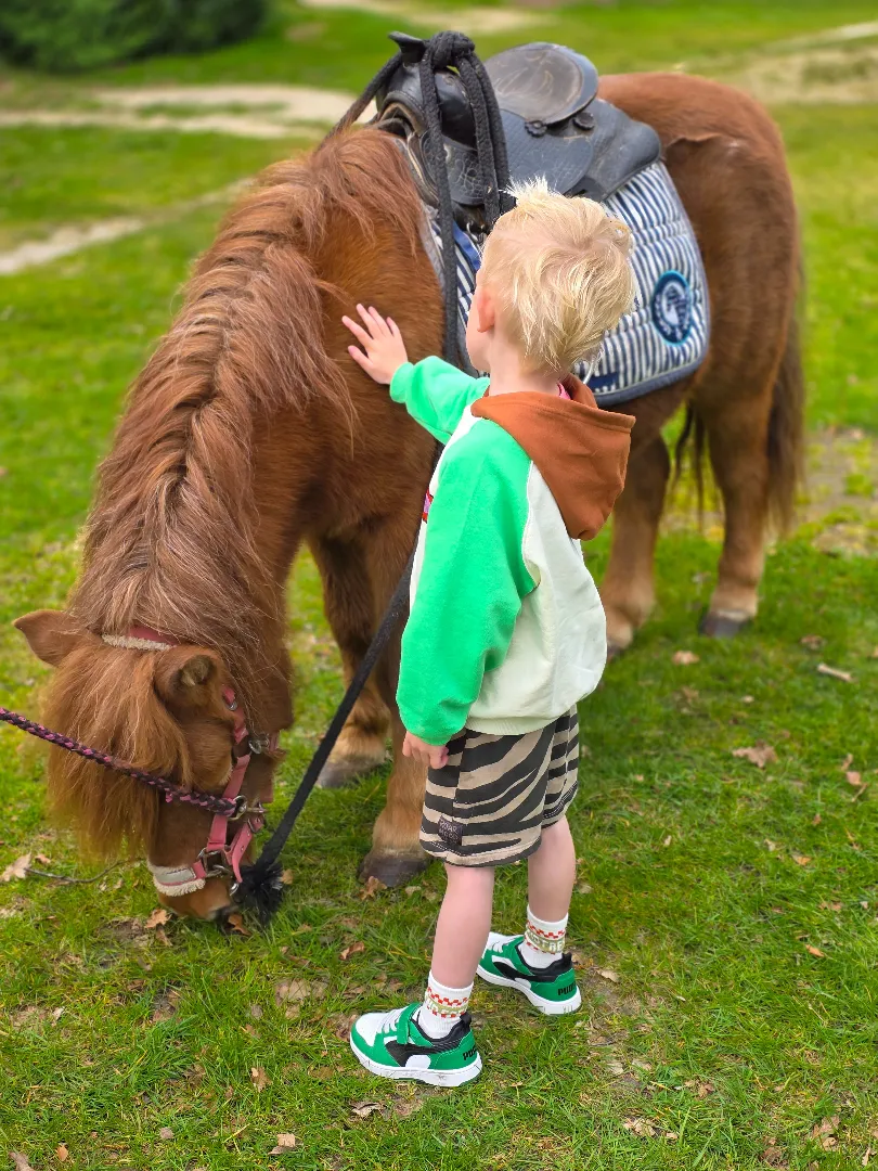 Kind_bij_ponyrijden_villapark_eureka.webp