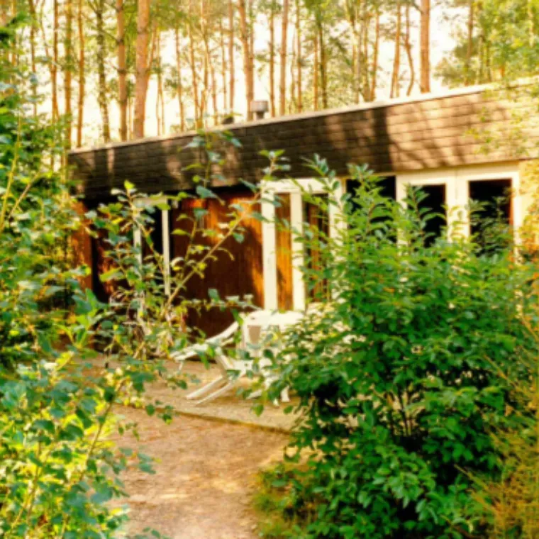 Groot_rondje_houten_bungalow_Eureka.webp