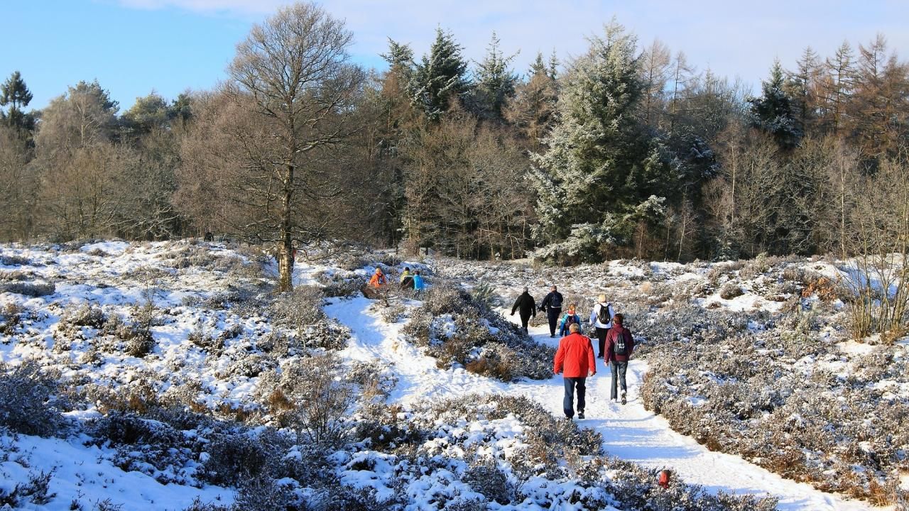 winterwandeling_4.jpg