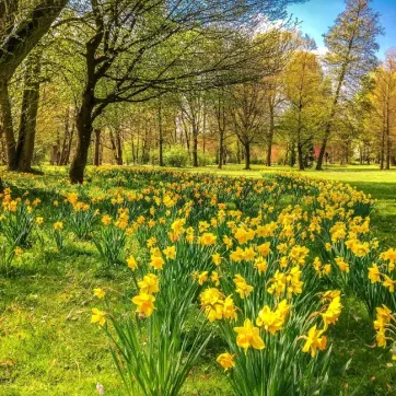 De leukste tips voor de lente in Twente! - page image