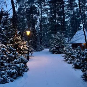 Oud en nieuw in Twente: tradities rond de jaarwisseling - page image