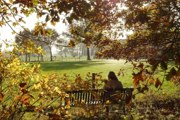 Ergebnisse des Herbst-Fotowettbewerbs! - page image