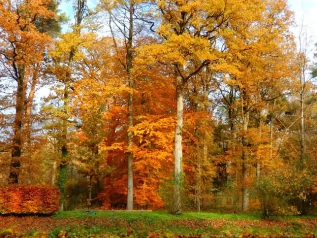 Herfsttintentocht Vasse, 26 oktober img