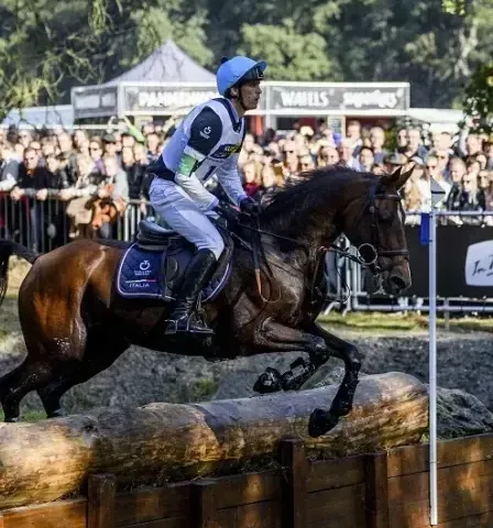 Military Boekelo-Enschede, 1-4 oktober img
