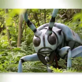 Grote Insecten bij Natura Docet, t/m 26 oktober img
